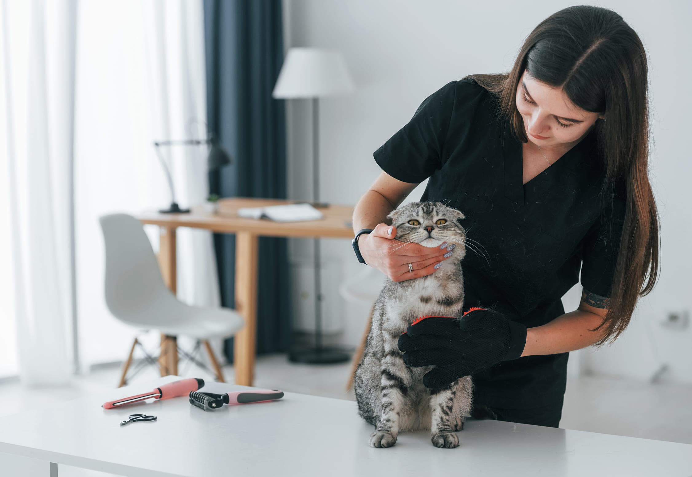 Stress-Free In-Home Grooming