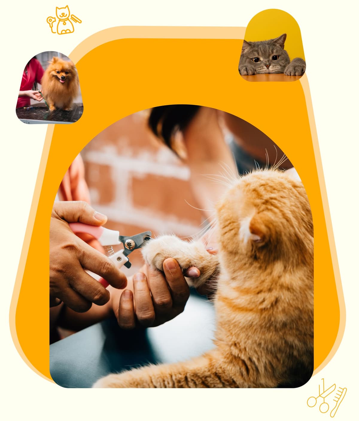 Groomer caring for a pet at home
